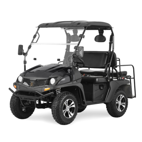 200cc, UTV mit hoch-niedriger Speed-Schwarz